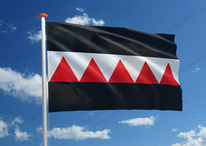 Dorpsvlag Brigdamme
