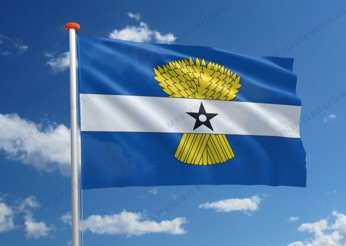 Dorpsvlag Heinenoord