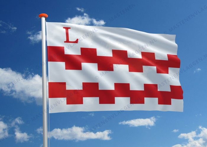 Dorpsvlag Leerbroek