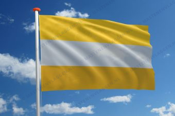 Disability vlag