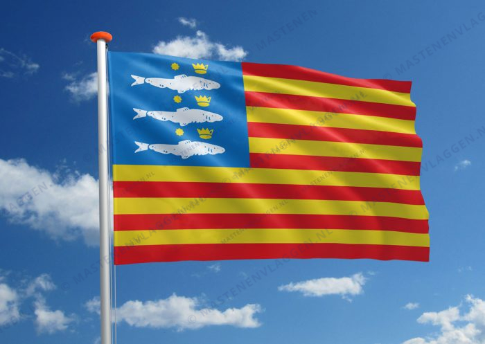 Vlag Enkhuizen (variant)