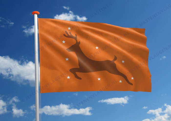 Mayo vlag