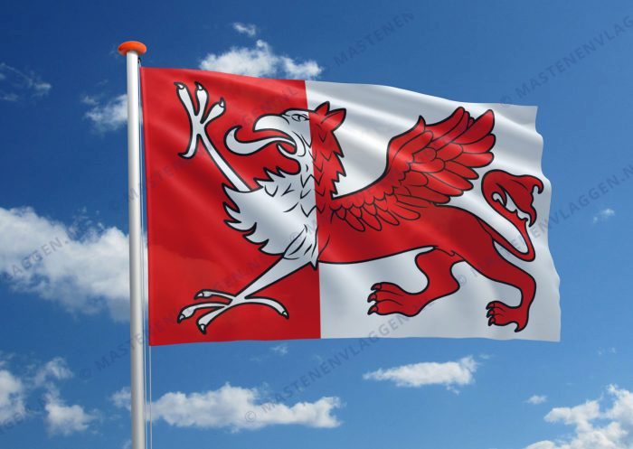 Vlag Ooststellingwerf