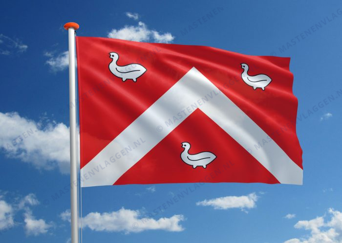 Dorpsvlag Ens