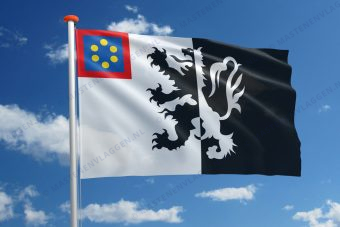 Dorpsvlag Heeswijk-Dinther