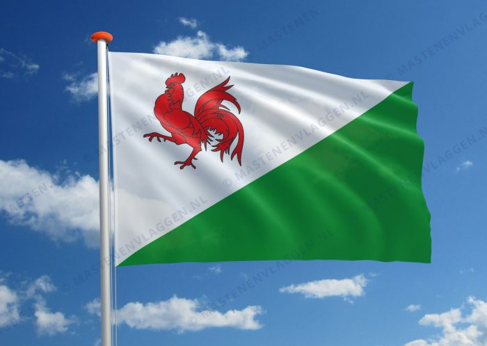 Dorpsvlag Heinkenszand (variant)