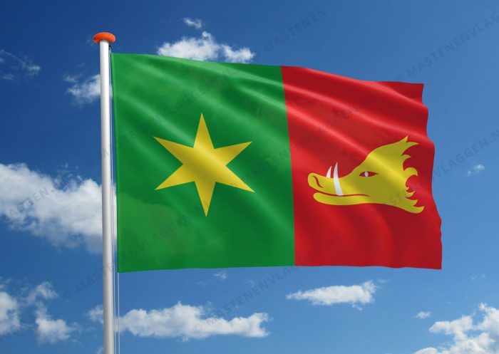 Dorpsvlag Holten