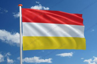 Dorpsvlag Oostvoorne