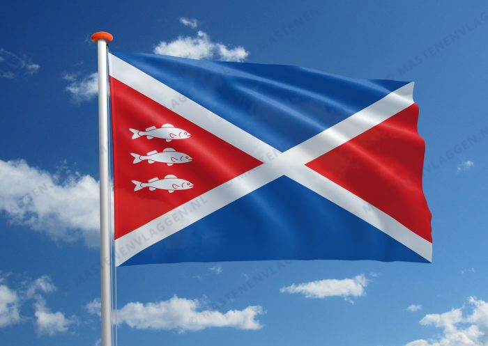 Dorpsvlag Spaarndam