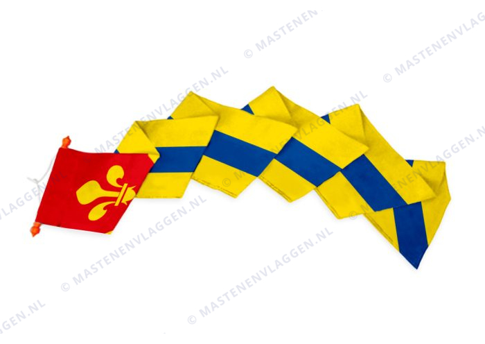 Dorpswimpel Surhuizum