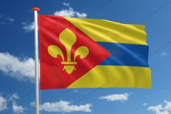 Dorpsvlag Surhuizum