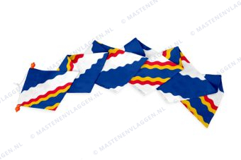 Dorpswimpel Ten Boer