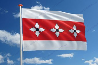 Dorpsvlag Vries