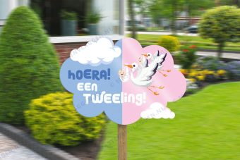 Themabord: Hoera! Een tweeling!