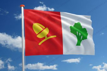 Dorpsvlag Cornjum