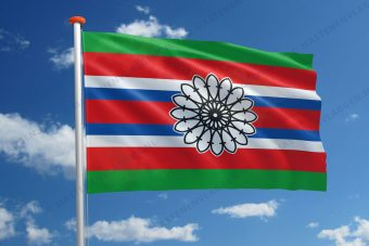 Dorpsvlag Den Horn