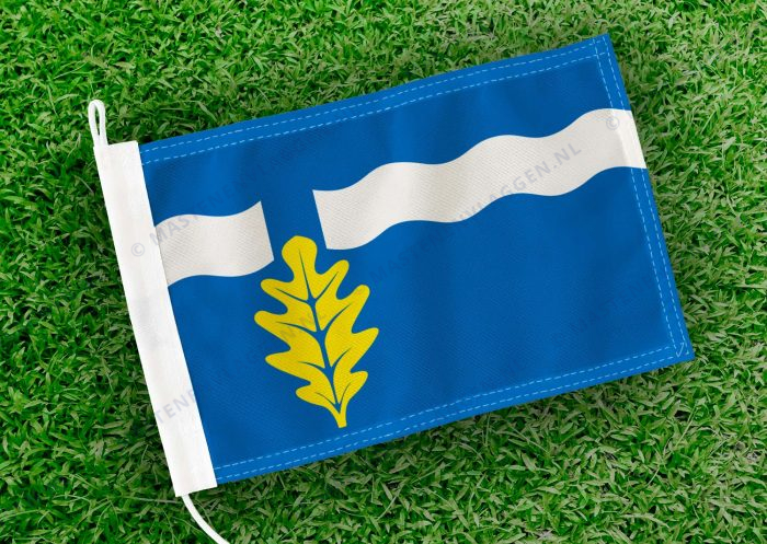 Caravanvlag Mildam