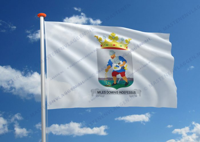 Dorpsvlag Nieuwolda