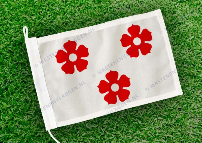 Caravanvlag Ardooie