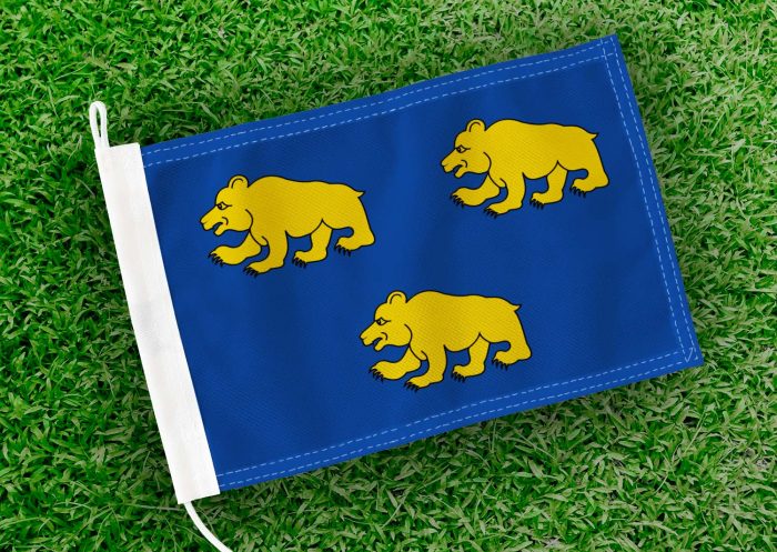 Caravanvlag Beernem