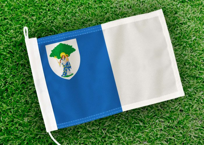 Caravanvlag Boom