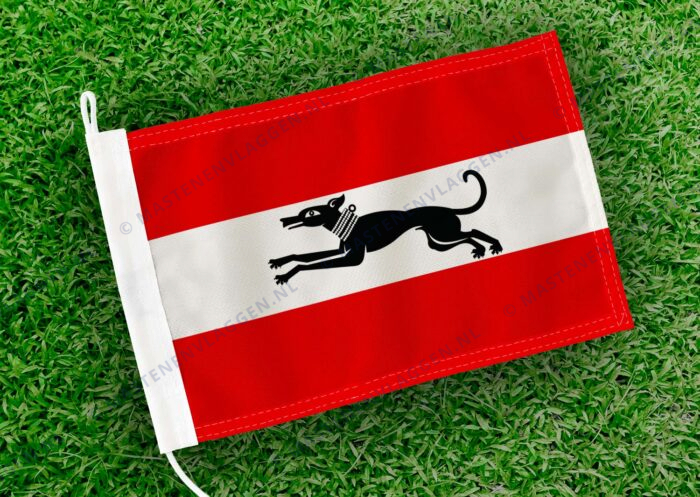Caravanvlag Damme