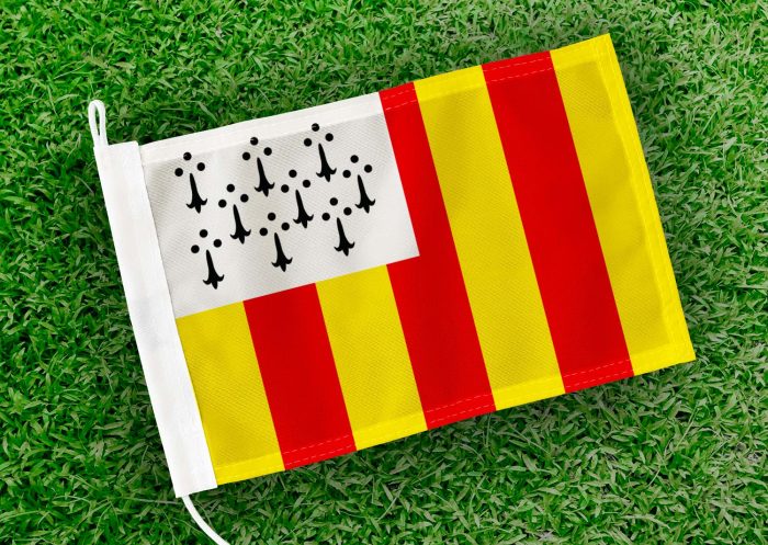 Caravanvlag Geel