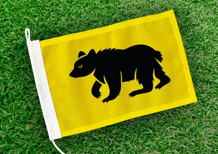 Caravanvlag Meulebeke