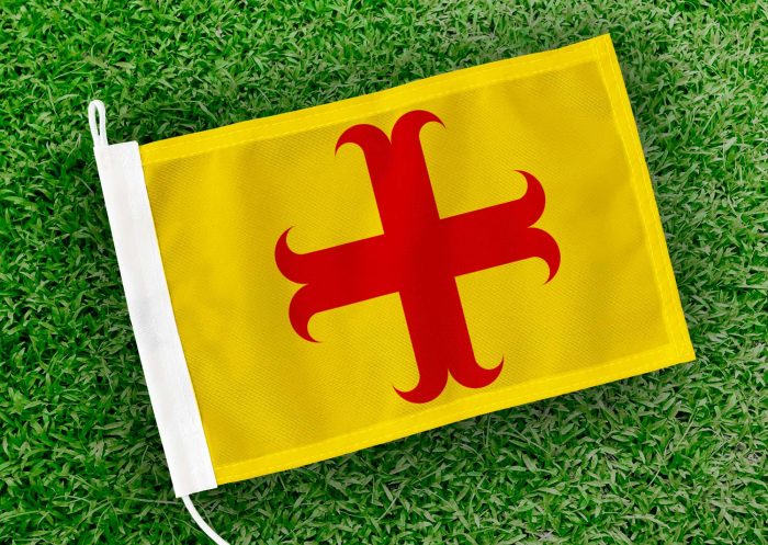 Caravanvlag Oegstgeest