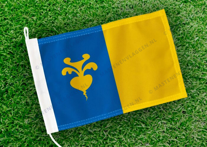 Caravanvlag Sint-Niklaas
