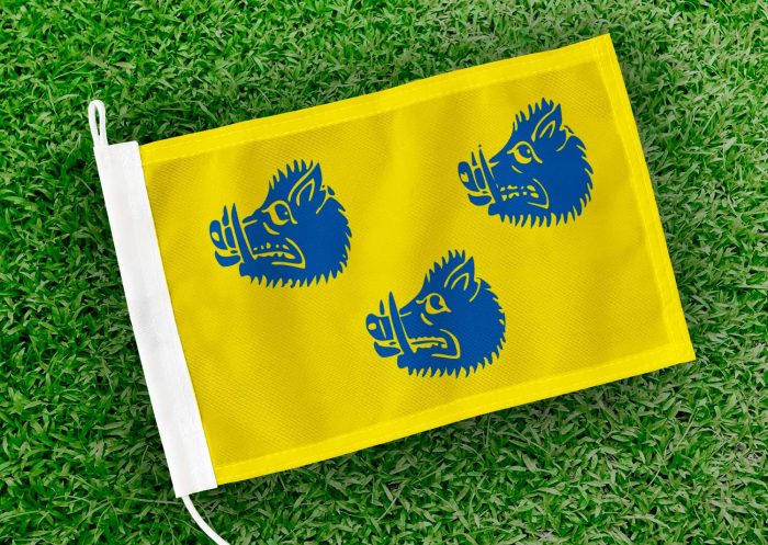 Caravanvlag Wommelgem