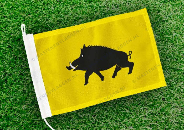 Caravanvlag Evergem
