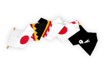 Wimpel Eijsden Margraten