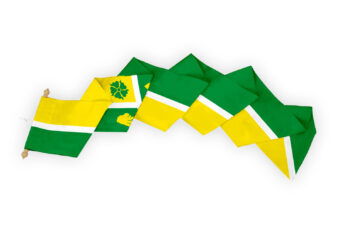 Wimpel Hof van Twente