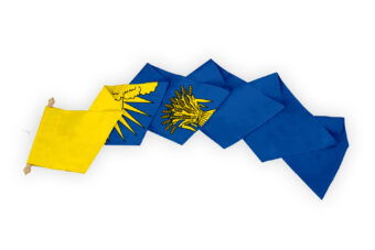 Wimpel Reusel De Mierden