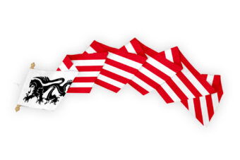 Dorpswimpel Sas van Gent